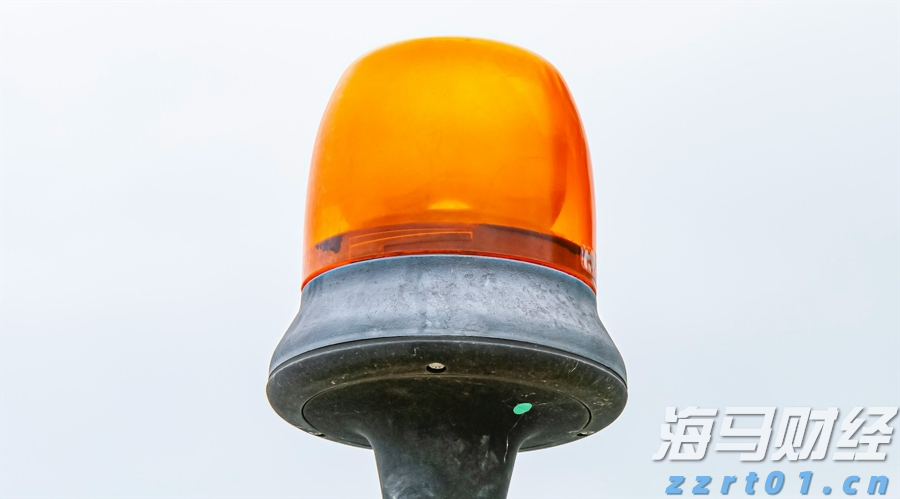 “中国龙眼之乡”广东茂名今年首批龙眼出口加拿大